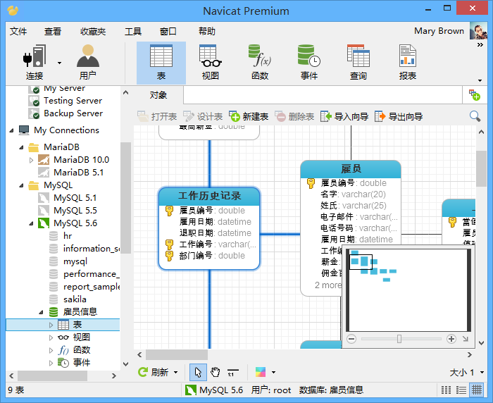 Navicat Premium v17.1.2绿色便携版 – 数据库开发工具